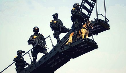 Indian_nsg_operator_during_2021_Republic_Day_parade (1).jpg