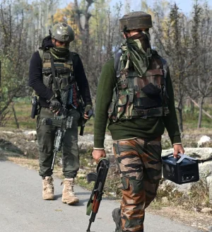 PARA SF_5.jpg