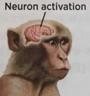 neuron-activation-monkey.webp