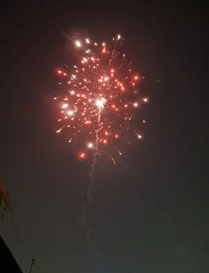 20241031_202534.webp