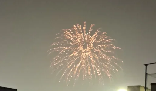 20241031_211031.webp