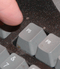 1000015511.gif