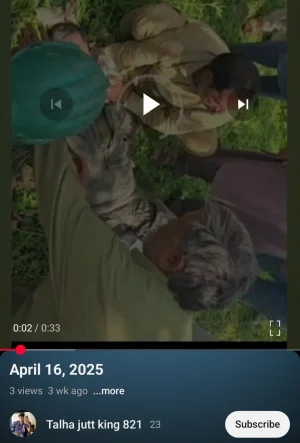 1746609859827.webp