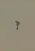 1000023639.webp