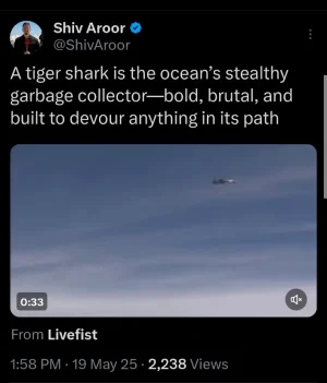 Screenshot_2025_0519_140248.webp