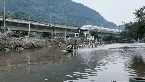 img-17487545376946753d05aly1i1z04fool0g20dc07kx6r.gif