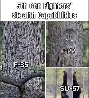 1749463991050.webp 1749463991050.webp