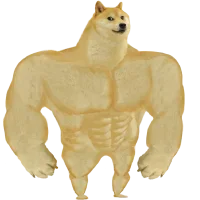 1749750912614.webp