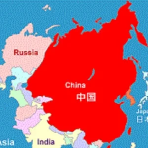 1751494576473.webp