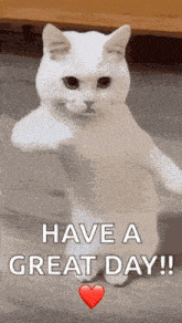 nice-day.gif