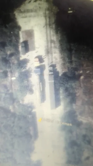1724774176837.webp