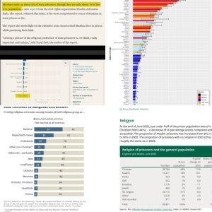 Violent crime conviction rate by ethnicity