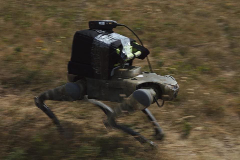 Robot dog payload0tF