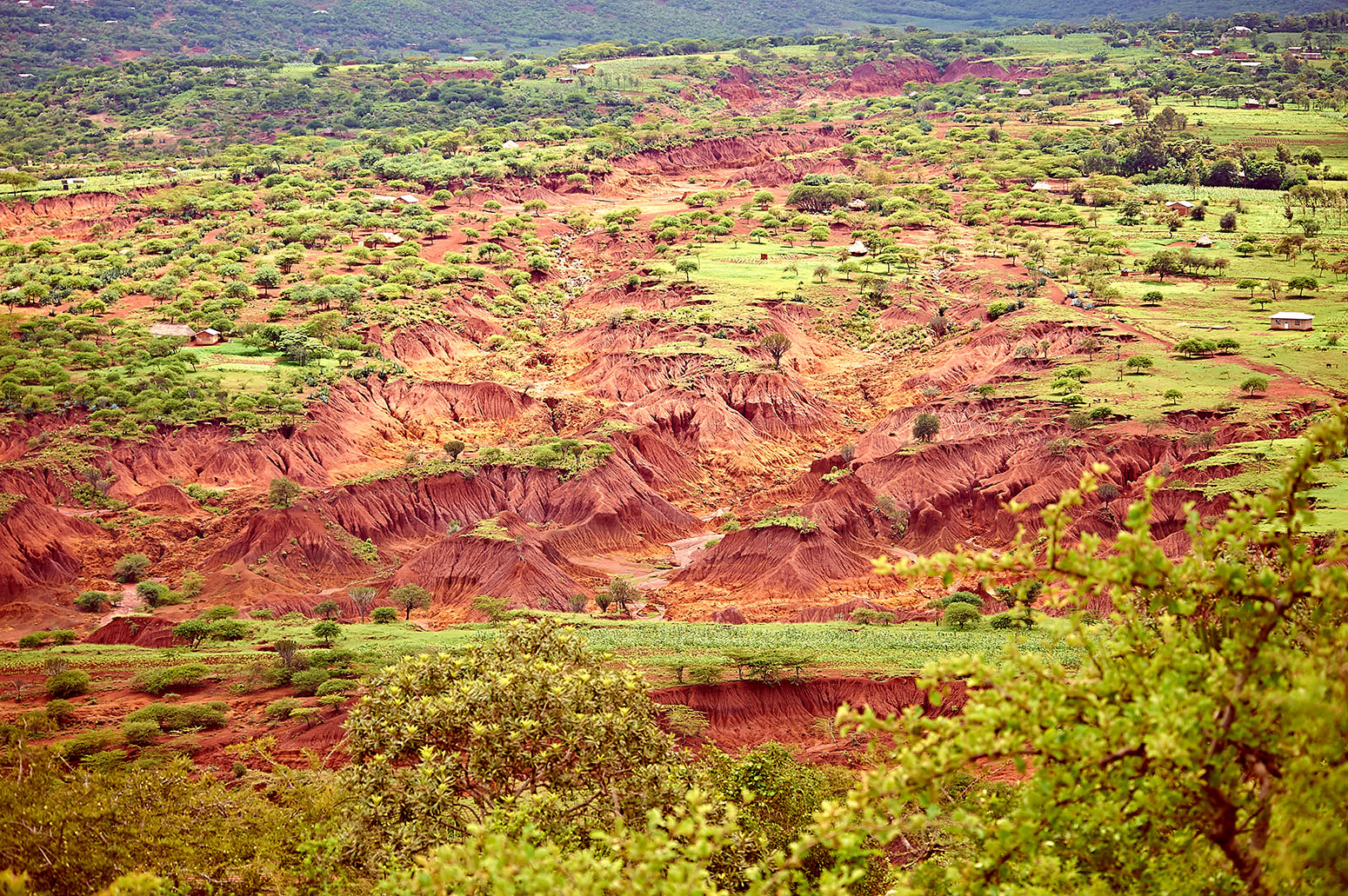 www.carbonbrief.org