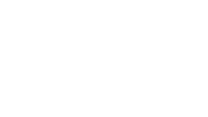 voltmotors.com.ar