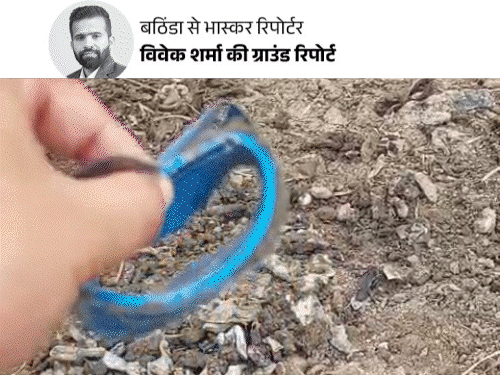 www.bhaskar.com