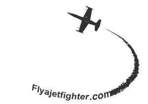 www.flyajetfighter.com