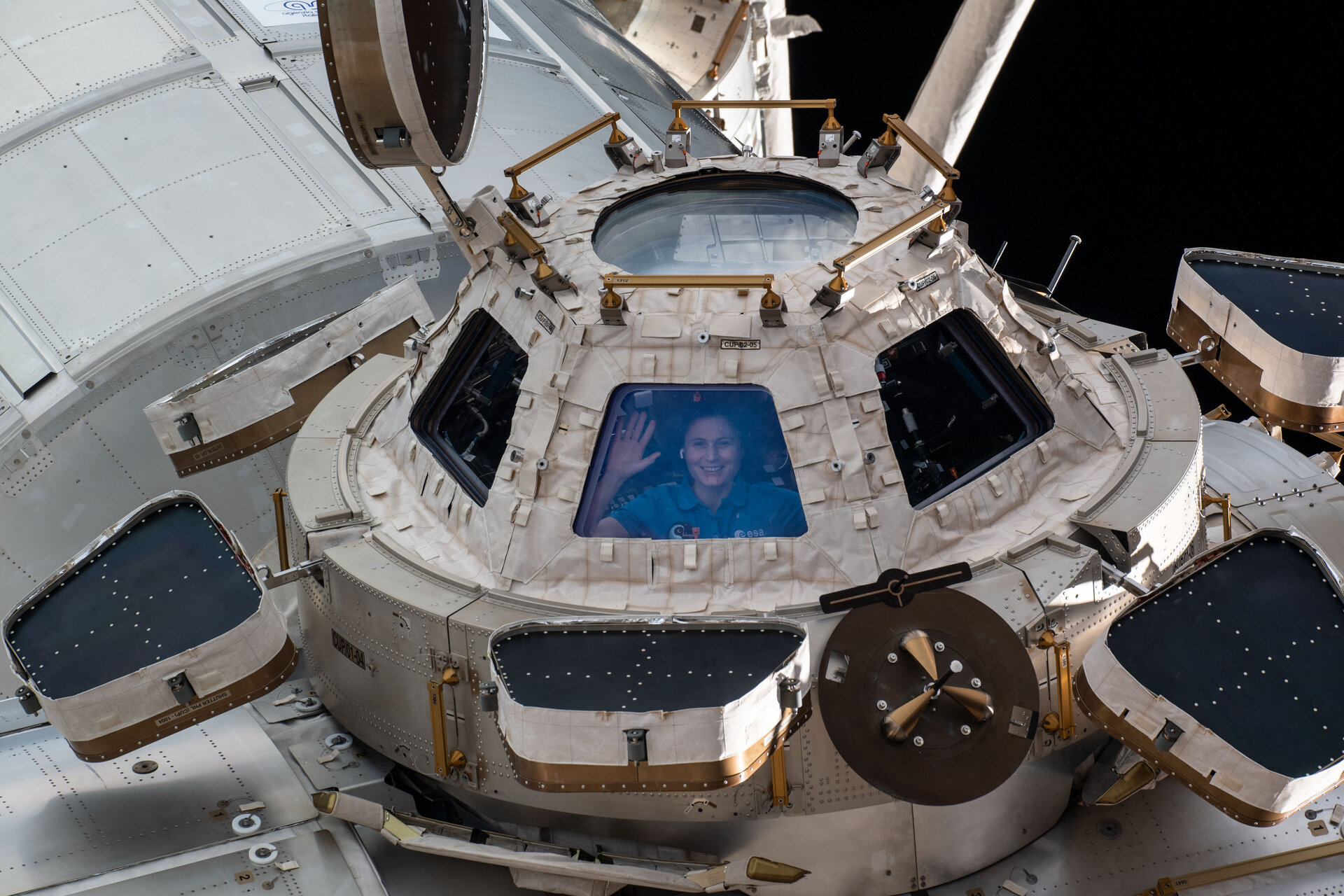 Samantha_Cristoforetti_inside_cupola_pillars.jpg