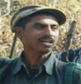 www.hornbilltv.com